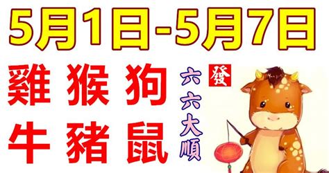 屬豬本月運勢|12生肖12月運勢全解析！屬雞會有不少追求者，「這生。